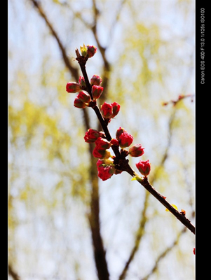 點(diǎn)擊新窗口打開